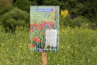 Flowering strips as habitat for small animals and insects on agricultural land with advertising poster for colourful diversity