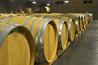 Saury oak barrels with Heida wine in the barrique cellar of the St. Jodern Winery