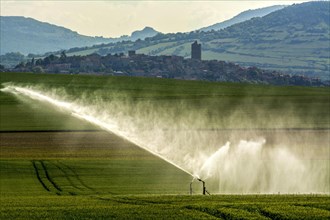 Agricultural sprinkler in Limagne plain
