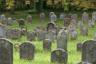 Historic Jewish cemetery