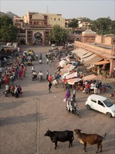 Sardar Market