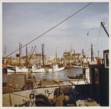 Sylt in the early 60s: List harbour with fishing boats