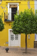 Tree and Yellow-painted House Front