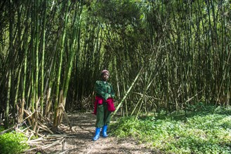 Female guide standing in a bamboo forest in the Virunga National Park