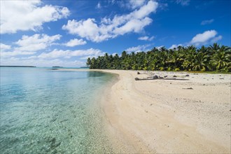White sand beach and palm fringed beach in Aitutaki lagoon