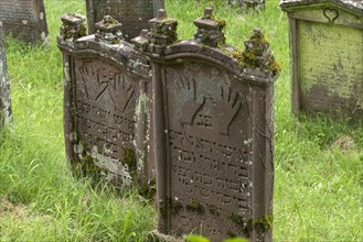 Gravestones with the symbol of the Priests' hands at the historic Jewish Cemetery