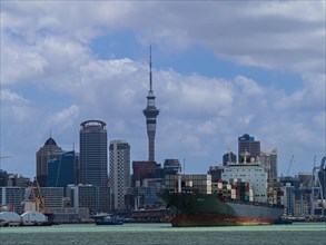 Container ship in front of the Auckland skyline