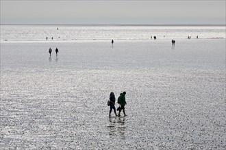 Mudflat walkers at low tide