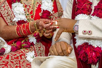 Bride with bridal jewelry and henna decoration on her hand attaches ring to the groom's finger at traditional religious ceremony at a Hindu wedding