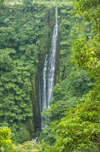 Papapapai-Tai Falls