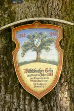 Wittelsbacher Eiche