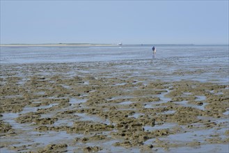 Hikers on the mudflats
