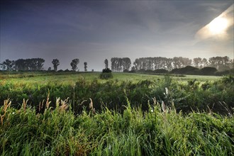 Grassland in the Droemling at sunrise