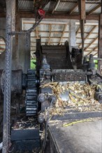 Sugar cane mill for traditional rum production