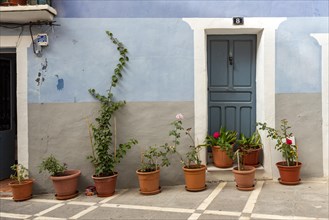 Blue door and house with flowerpots