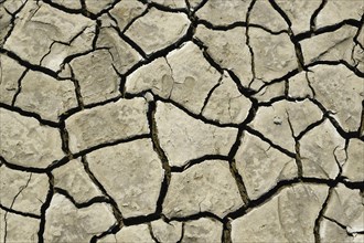 Cracks in the dry soil in the mudflats