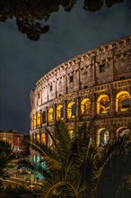 The Colosseum with palm tree