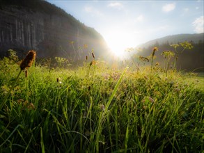 Morning atmosphere and sunrise