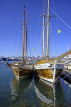 Old sailing ships in the harbour of