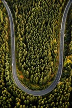 Curve of country road from above in the Thuringian Forest