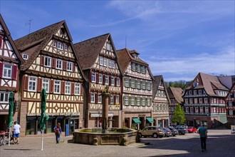 Historic half-timbered houses on the market square