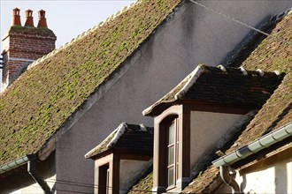 House roofs in the Rue de Jouy