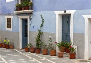 Blue House with flowerpots