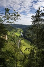 View from the Knopfmacherfelsen into the Danube valley