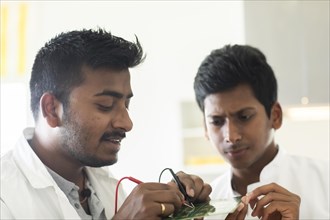 Students in an internship at the university