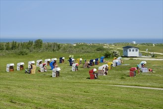 Beach chairs on the green beach