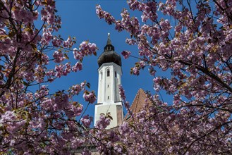 The tower of the secularised Frauenkircherl in Erding