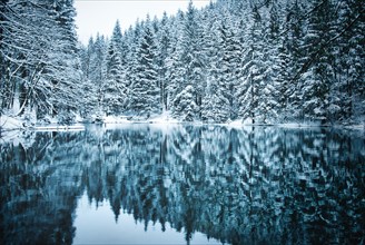 Lake in coniferous forest with snow