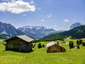 Alpine huts