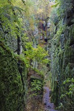 Rock gorge at the Kuhstall