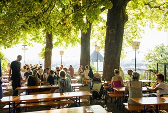 Kastaniengarten Beer Garden