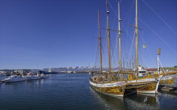Old sailing ships in the harbour of