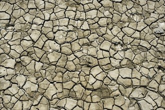 Cracks in the dry soil in the mudflats