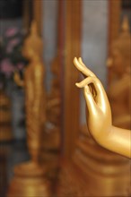 Buddhist mudra sign for opening energy