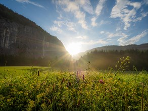 Morning atmosphere and sunrise