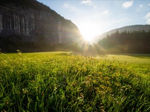 Morning atmosphere and sunrise