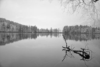 Lake with reflection in winter black and white