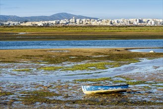 Boat by Ria Formosa wetlands during low tide