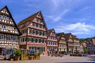 Historic half-timbered houses on the market square