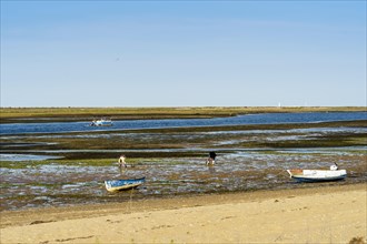 Ria Formosa during low tide with boats and people gathering the seafood