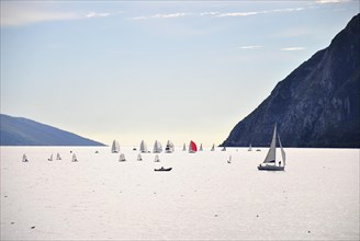 Lake Garda with sailing boats