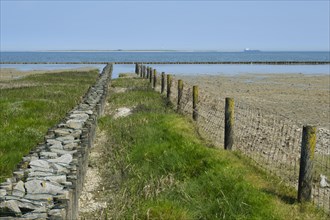 Wooden groynes and fence in the Lower Saxony Wadden Sea National Park