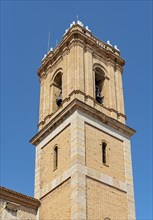 Tower of Nuestra Senora del Consuelo Consuelo