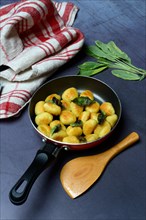 Fried potato gnocchi with sage leaves in pan