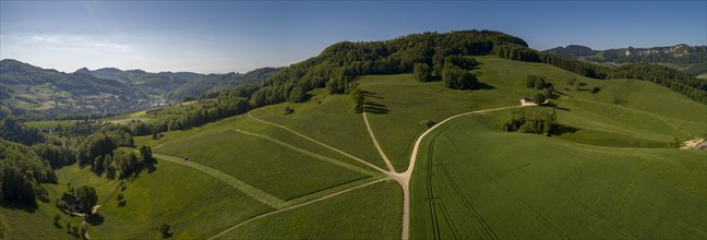 Farmland and fork in the road in summer
