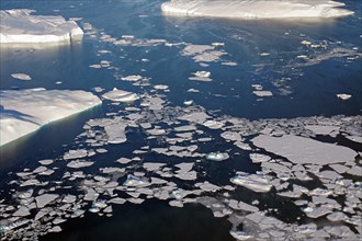 Aerial view of giant icebergs